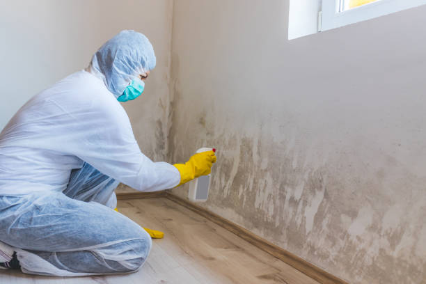 Crawl Space Mold Remediation treatment of floor joists in Woodbine