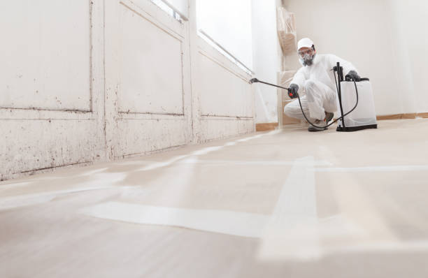 Black mold remediation team in Woodbine